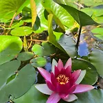 D'artisti 아파트 산레모