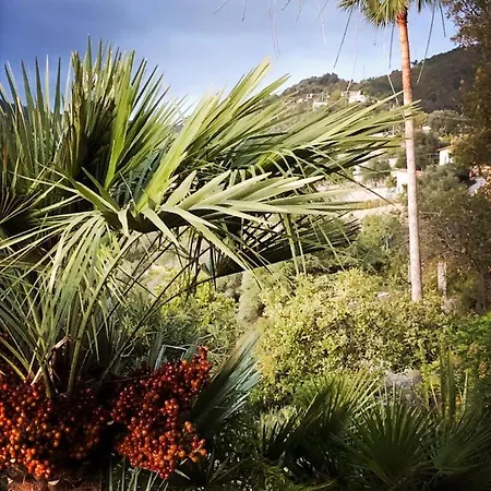 D'artisti Appartamento Sanremo