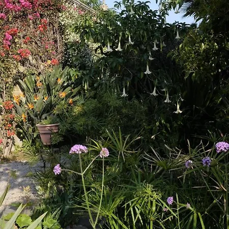 Appartamento D'artisti