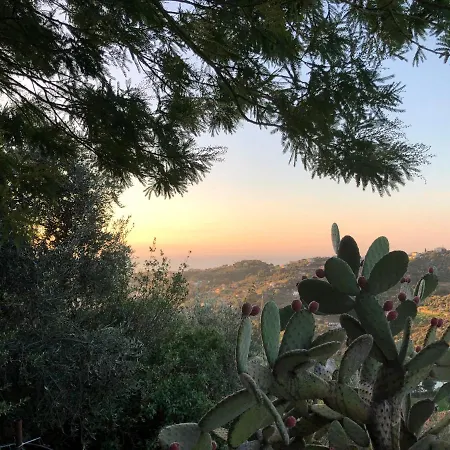 D'artisti * Sanremo