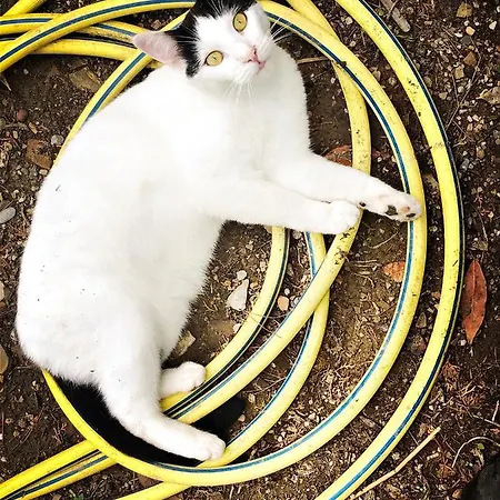 D'artisti Appartamento Sanremo