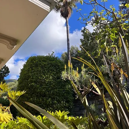 D'artisti Apartmán Sanremo