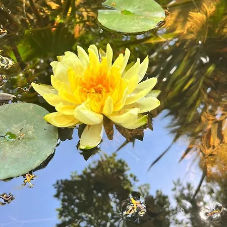 D'artisti Appartamento Sanremo