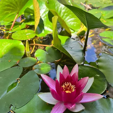 D'artisti Appartamento Sanremo