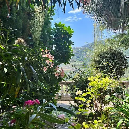 D'artisti Appartamento