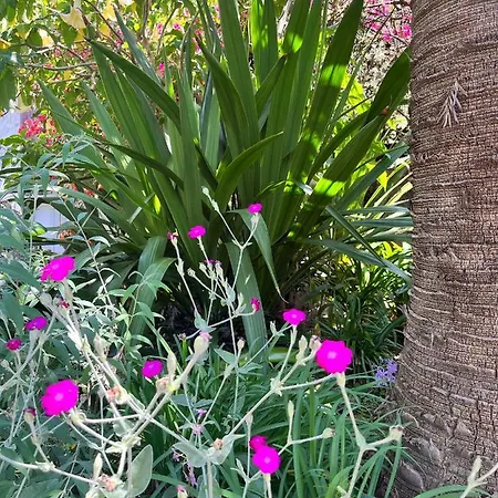 D'artisti Appartamento