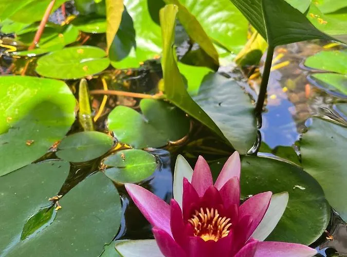 D'artisti Lägenhet Sanremo