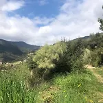 D'artisti *