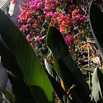 D'artisti Apartman