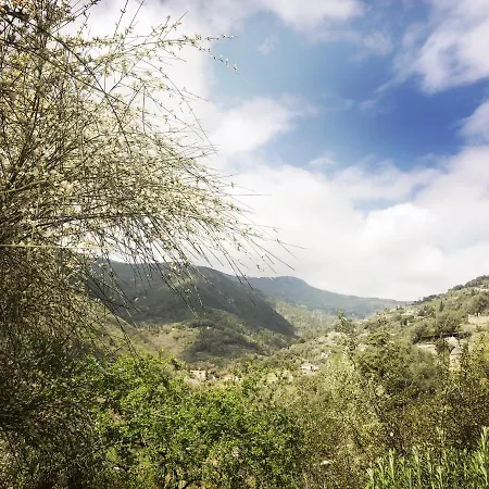 D'artisti * San Remo