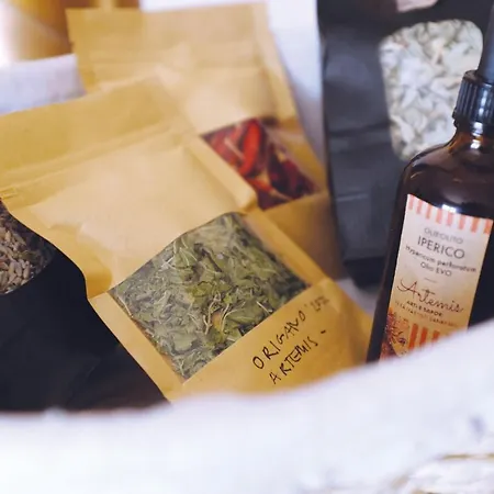 Apartament D'artisti