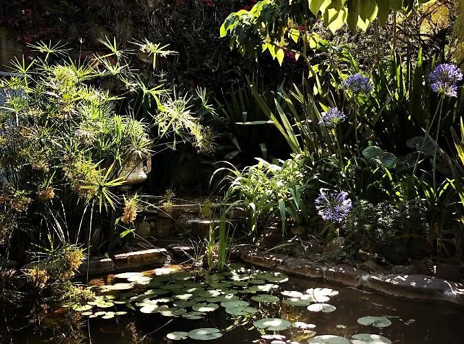 D'artisti Apartamento *