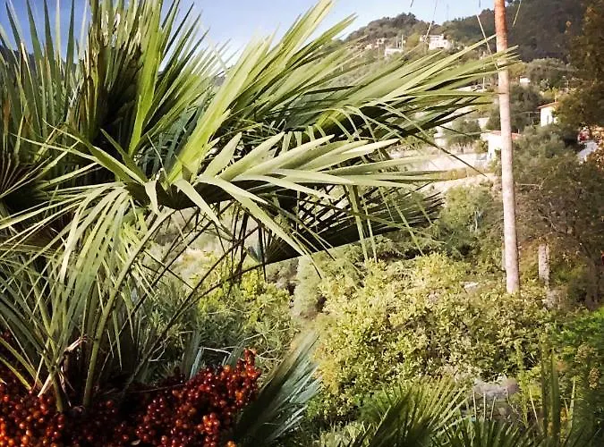 D'artisti Apartamento San Remo