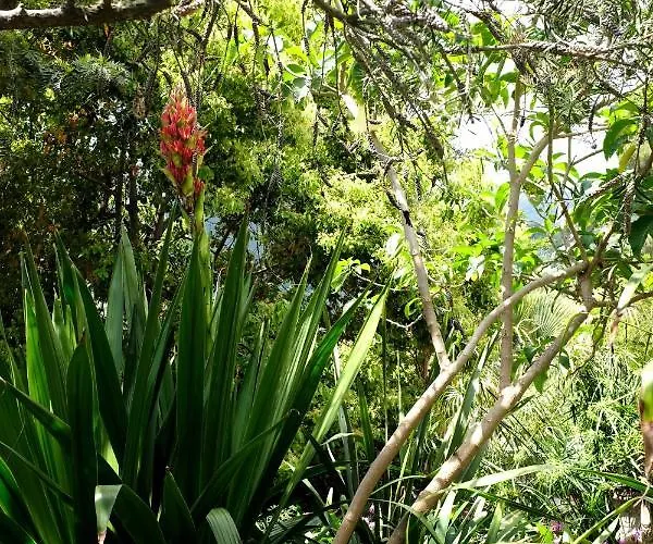 Apartamento D'artisti *