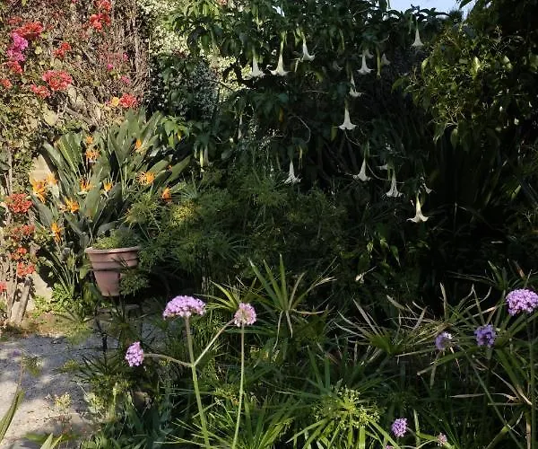 Apartamento D'artisti