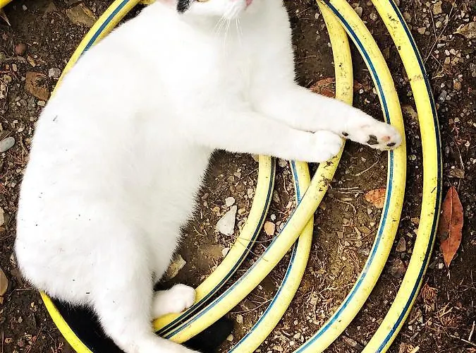 D'artisti Apartamento San Remo