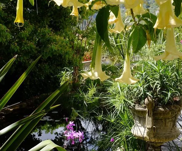 D'artisti * San Remo