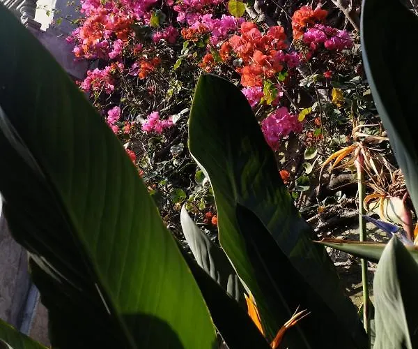 D'artisti Apartamento