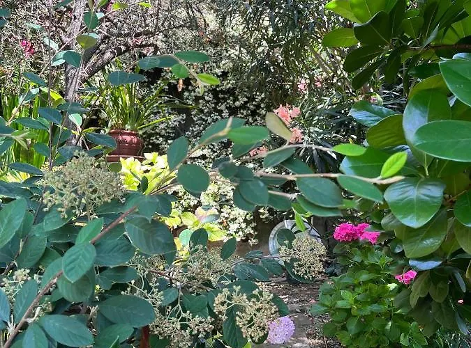 Apartamento D'artisti