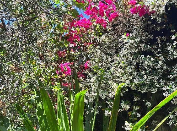 D'artisti Apartamento