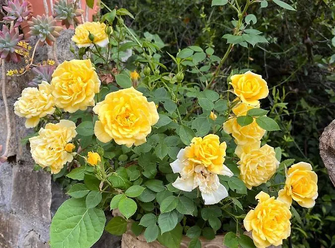 Apartamento D'artisti *