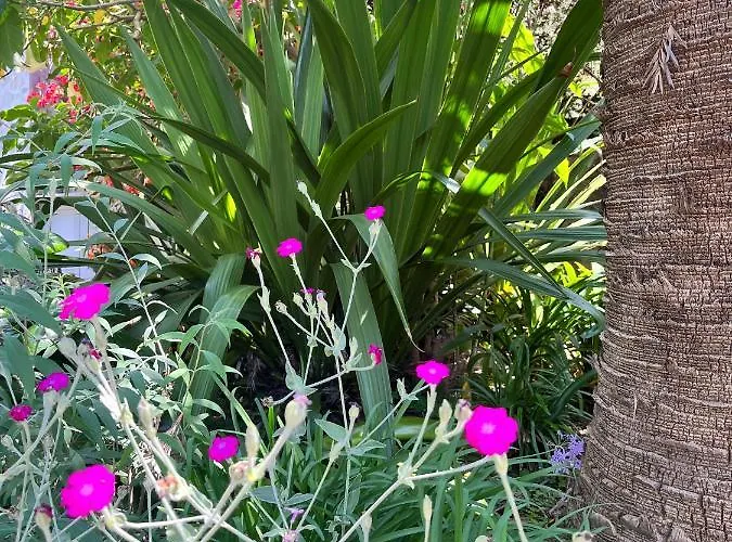 D'artisti Apartamento